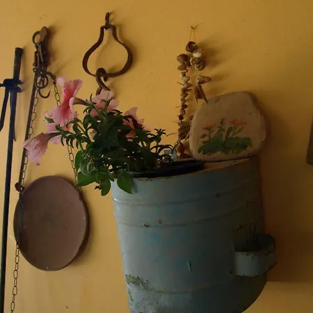 Emma Holiday home Agia Fotia (Sitia)